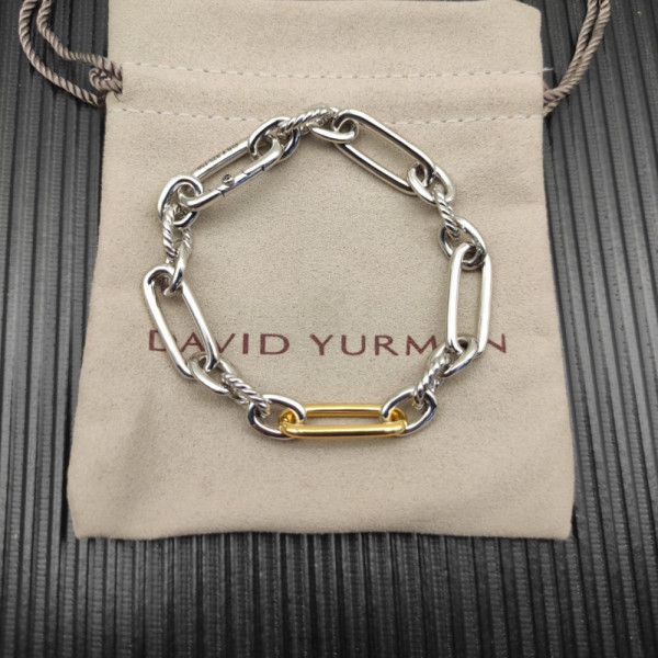 David Yurman 9.8mm Gold and Silver Lexington Chain Bracelet