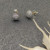 David Yurman 8.6mm Round Silver Pav&Atilde;&copy; Diamond Stud Earrings