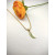 David Yurman Gold Peter&acirc;s Prong Green Diamond Necklace