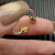 David Yurman Gold and Silver Dome Renaissance Ring