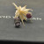 David Yurman 8mm Red Diamond Stud Earrings