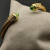 David Yurman 5mm Gold-Tone Cable Cuff Bracelet Light Green Diamonds
